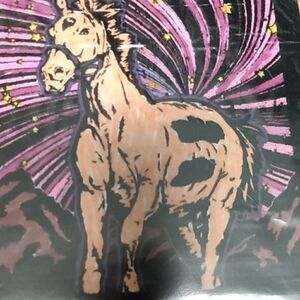 Coloring of a horse